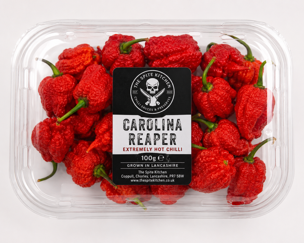 Fresh Carolina Reaper Chillies