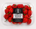 Fresh Carolina Reaper Chillies