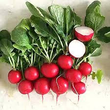 Cherry Belle Radish — 300g